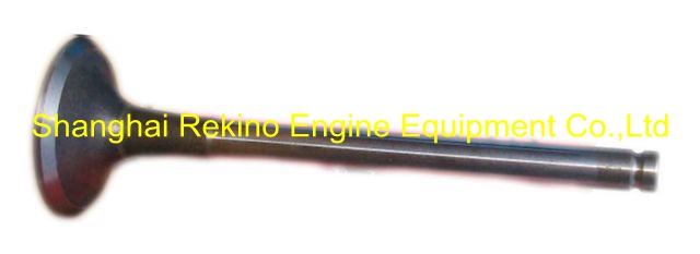 Exhaust valve 61560050041 for Weichai engine parts WD618C WD12