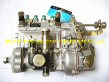 13021223 10400874053 BYC fuel injection pump for Weichai WP4D TD226B-4