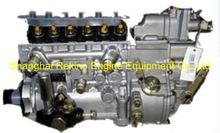 BP1239 13023586 Longbeng fuel injection pump for Weichai engine parts WP 6 TBD226B-6C 226B