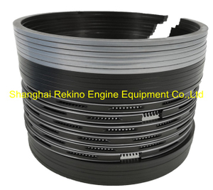 160A.05.12B piston ring Weichai engine parts 6160